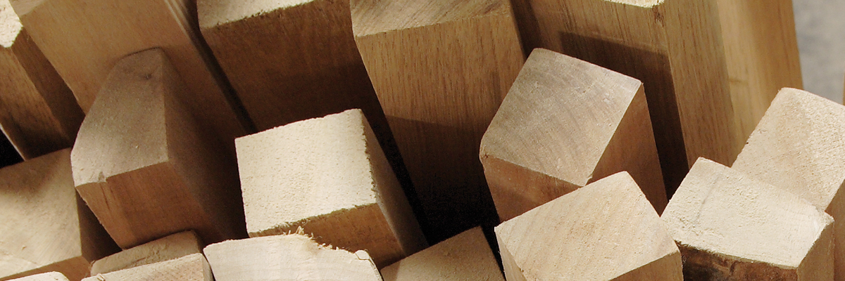 Holzwürfel aus verschiedenen Holzarten als Materialmuster